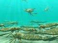 Eurypterids Gathering To Spawn