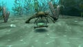 Eurypterus Chasing Trilobite Animation