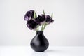 eustoma bloom in black vase on white background