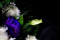 Eustoma flowers on a black background. White and purple eustoma flowers on a black background. Place for an inscription Royalty Free Stock Photo