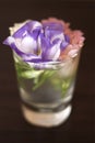 Eustoma in the glass on dark background