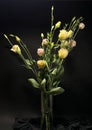 Eustoma is the magic of beauty, refinement, fragility, lightness like the wind