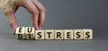 Eustress or distress symbol. Psychologist turns cubes and changes the concept word Eustress to Distress. Beautiful grey table grey
