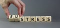 Eustress or stress symbol. Psychologist turns cubes and changes the concept word Eustress to Stress. Beautiful grey table grey