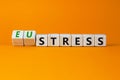 Eustress or stress symbol. Turned wooden cubes and changed the concept word Eustress to Stress. Beautiful orange table orange