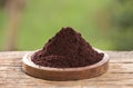 Euterpe oleracea - Organic Amazon Acai Berry Powder Royalty Free Stock Photo