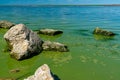 Eutrophication of the Khadzhibey estuary, blooms in the water of the blue-green algae Microcystis aeruginosa