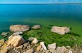 Eutrophication of the Khadzhibey estuary, blooms in the water of the blue-green algae Microcystis aeruginosa