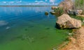 Eutrophication of the Khadzhibey estuary, blooms in the water of the blue-green algae Microcystis aeruginosa