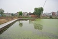 A lake polluted by eutrophication