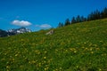 Eutrophication of soil in Bavaria