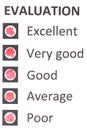 Evaluationform with choises Royalty Free Stock Photo