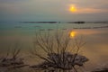 Evaporated salt protrudes above water Royalty Free Stock Photo