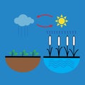 Vector schematic representation of the water evaporation process in nature