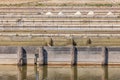 Evaporation canals in the saltworks of Sicciole