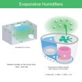 Evaporative Humidifiers. Illustration showing structure inside Evaporative Humidifier and using working.