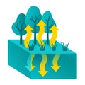 Evapotranspiration - water from ground to air