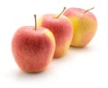 Evelina apple Royalty Free Stock Photo