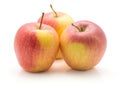 Evelina apple Royalty Free Stock Photo