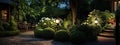 evening backyard lit by street lighting among green bushes and stone paths.