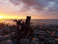 Evening on the Baltic Sea.