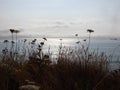 Evening at the Beach