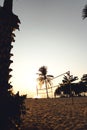 Evening beach atmosphere on a tropical island