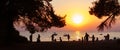 On the evening beach resting people. Sunset.