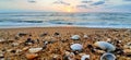 Evening Beach with seashell