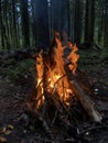 Evening beautiful bonfire of burning pine in the wild forest on autumn evening. Firewood burns orange flame. Smoking and charred Royalty Free Stock Photo