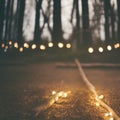 Evening blur bokeh with fairy string lights on ground