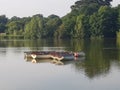 Boats resting easy Royalty Free Stock Photo