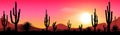 Evening in the cactus valley Royalty Free Stock Photo