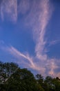 Evening cloudscape with pink tint and trees