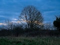 Dark clouds with brirght orange spots over a meadow with tree silhouettes in the flemish countryside Royalty Free Stock Photo