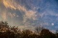 Evening cloudscape with yellow tint and trees