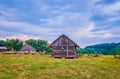 Evening in Cossack Village Scansen with herd of grazing sheep, Stetsivka village, Ukraine