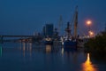 Evening dock view with ships and dockside cargo crane