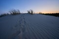 evening dunes Lithuania landscape image Royalty Free Stock Photo
