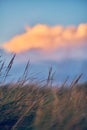 Evening in the Dunes at the north sea