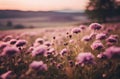 Evening Elegance: Purple Meadow Flowers in Lo-fi Aesthetics with a Subtle Palette of Light Pink and Bronze.