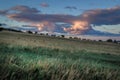 Evening field, meadow on hill with dry yellow green grass. Twilight blue sky with beautiful pink orange purple clouds. Lake Royalty Free Stock Photo