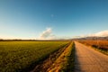 Evening in the fields of Friuli