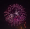 The evening fireworks in the sky in honor of celebration of Victory Day