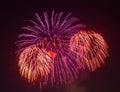 The evening fireworks in the sky in honor of celebration of Victory Day