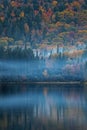 Evening fog through the trees on Lake Monroe Royalty Free Stock Photo