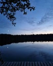 Evening forest lake bluehour black trees Royalty Free Stock Photo