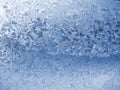 Evening frost pattern Royalty Free Stock Photo