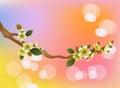 Evening in the garden blooming cherry and birds sing Royalty Free Stock Photo