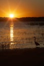 Evening Glow over Lake Royalty Free Stock Photo